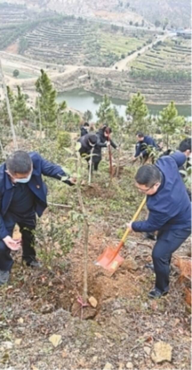 义务植树点还有1万多株树苗可预约