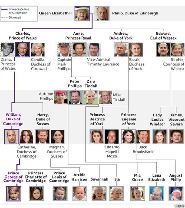 英国王室族谱图图源：BBC