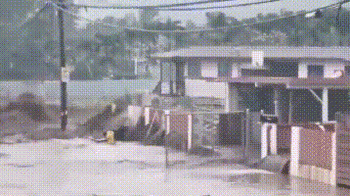 美国夏威夷遭严重洪水肆虐：桥梁道路被淹 居民爬上屋顶