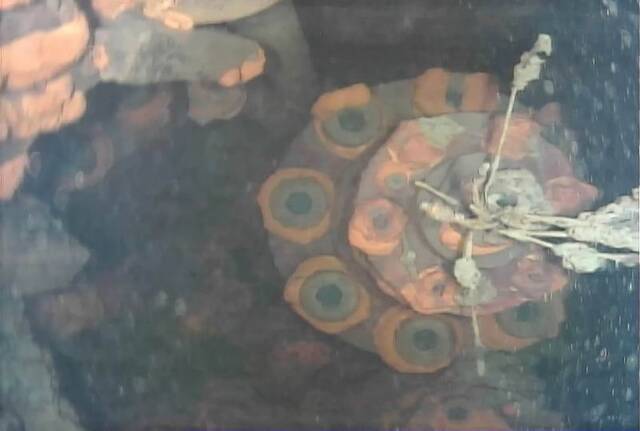 2017年7月21日（具体拍摄时间不详），机器人拍摄到的水下视频画面显示，日本福岛第一核电站3号机组受损严重，但熔落的核燃料并未被发现。东京电力公司日前召开记者会，公布了首次使用水下机器人拍摄到的福岛第一核电站3号机组内的具体状况。