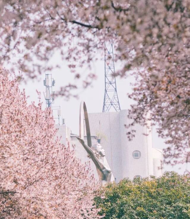 印象长大  这景，美极了~