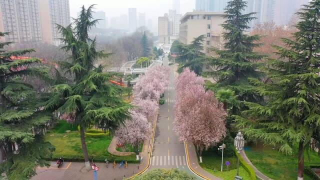 印象长大  这景，美极了~