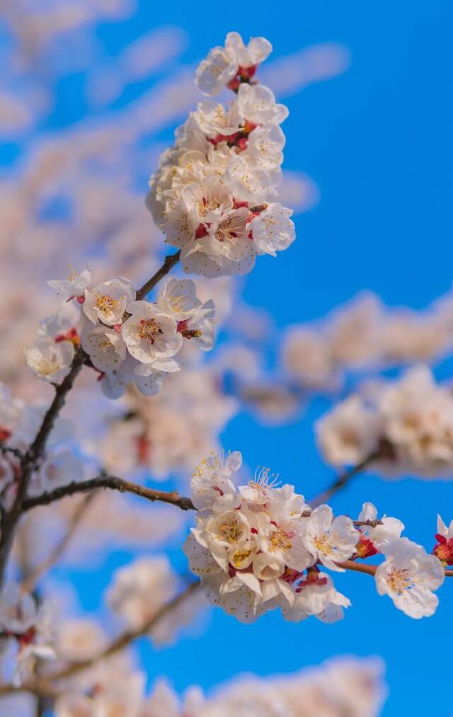 印象长大  这景，美极了~