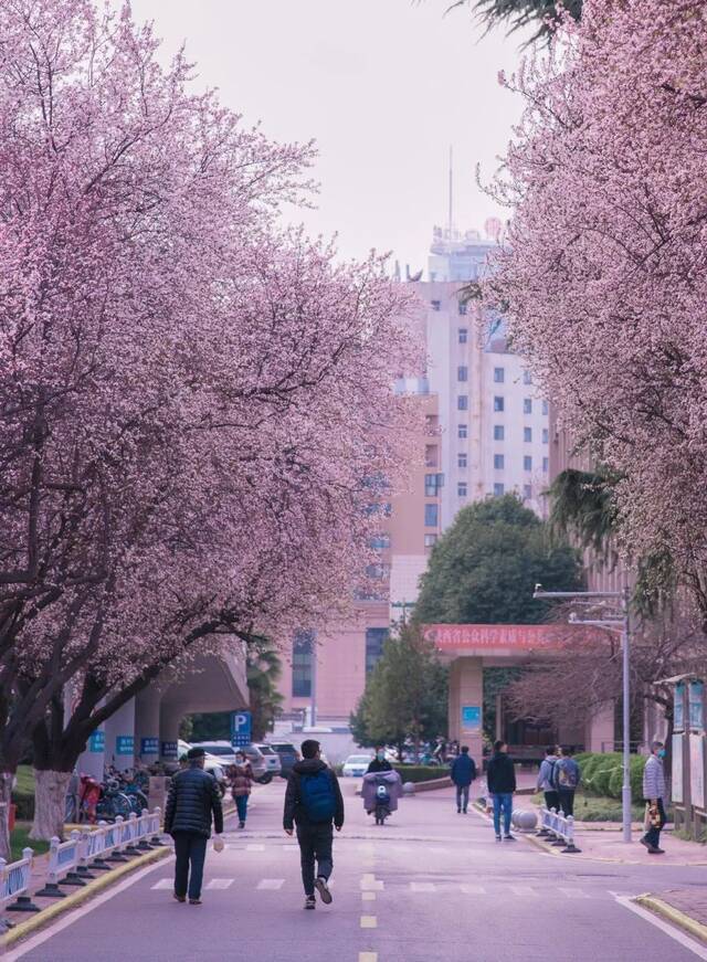 印象长大  这景，美极了~