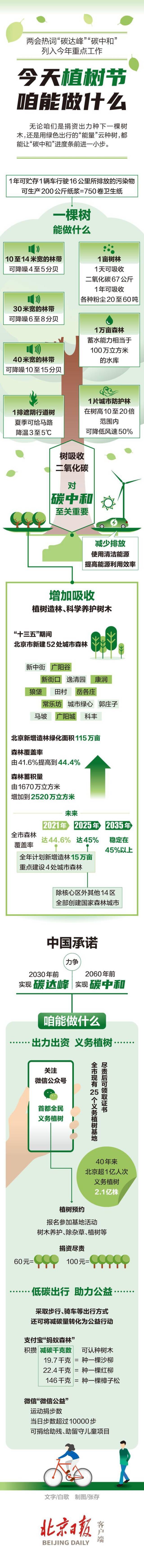 植树节说绿色：加速“碳中和”，除了种树还能做什么