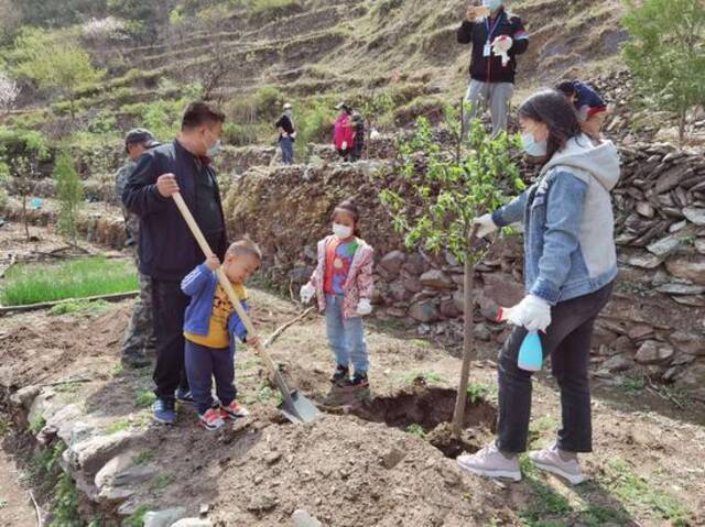 义务植树“一树难求”，北京市民该去哪儿种树？