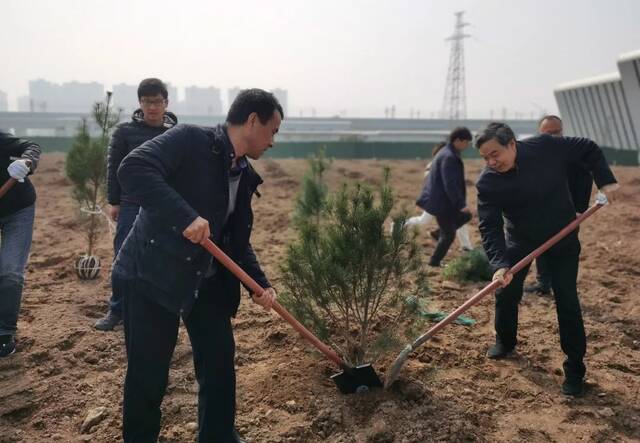 庆七秩长大亲手种下一抹新绿！