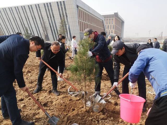 庆七秩长大亲手种下一抹新绿！