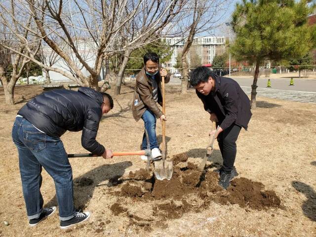 3.12植树节  唯有树木，带给我们斑斓的色彩