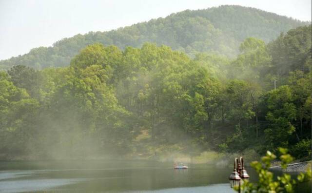 ▲韩国忠清北道大清湖松林的松树花粉正在飘散，空气都因此而变了颜色。图据《中央日报》