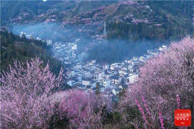 拟欲寻春去，梅花水际村。（安徽省芜湖市湾沚区纪委监委供陶腊梅摄）