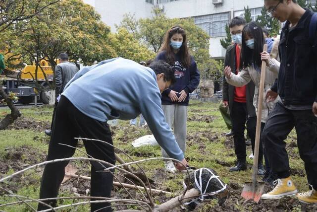 多肉又多“绿”！这个节湖工人这样过