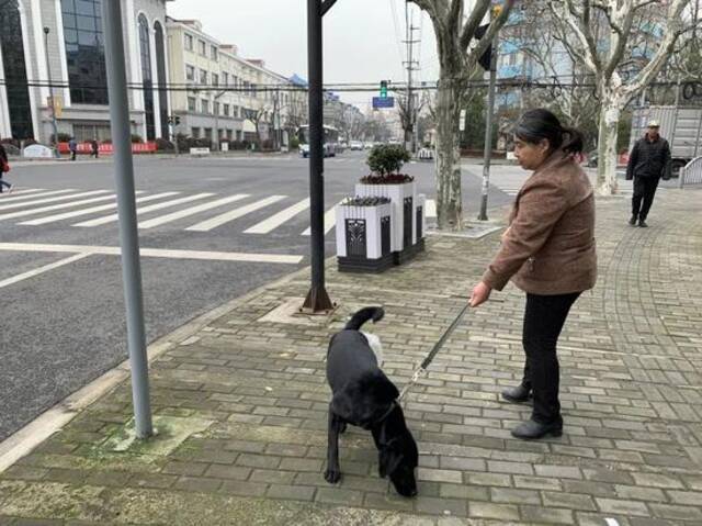 刘阿姨和导盲犬