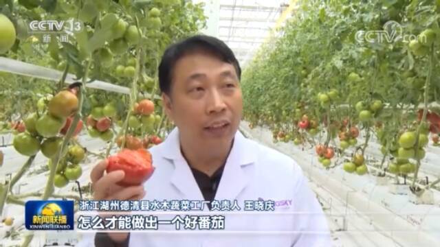 蔬菜生长可电脑控制！浙江超160个数字农业工厂让“东西更好吃”