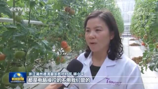 蔬菜生长可电脑控制！浙江超160个数字农业工厂让“东西更好吃”