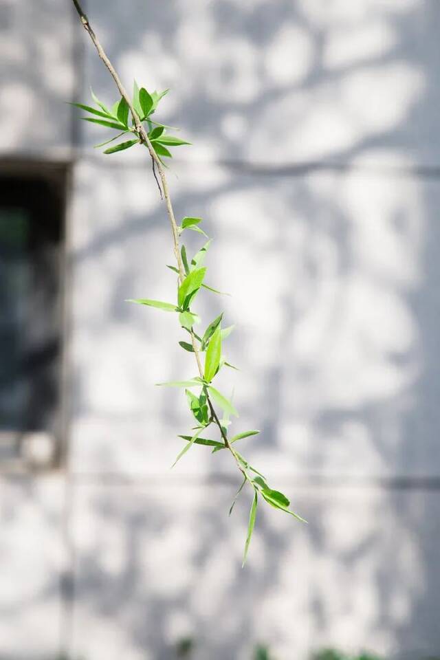 你的故事，写在了兰大的阳光里......