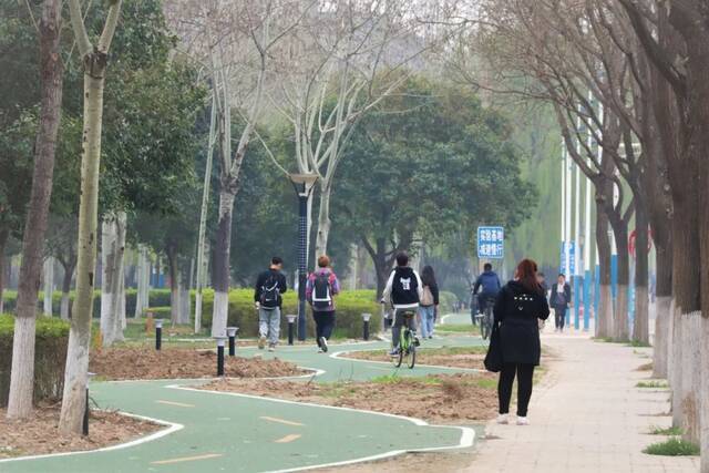 太美！长安大学再添一抹新绿……