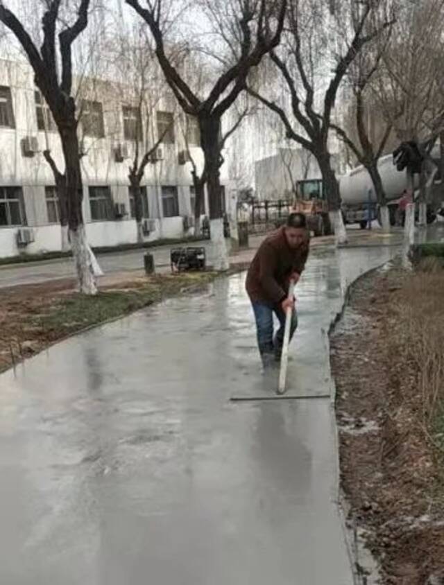 太美！长安大学再添一抹新绿……