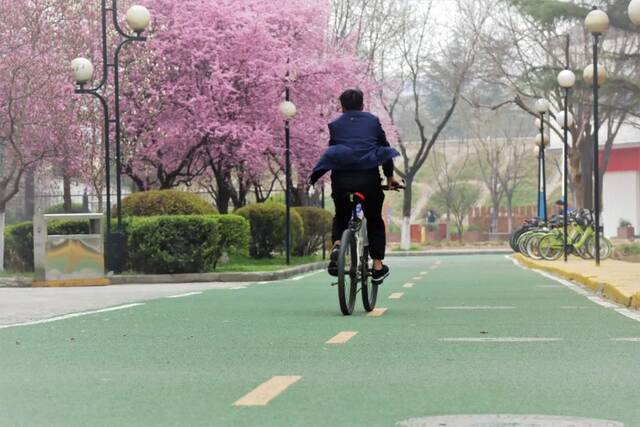 太美！长安大学再添一抹新绿……