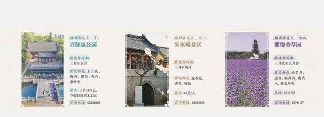 百花公园、山大老校、朱家峪景区……泉城百花观赏点发布