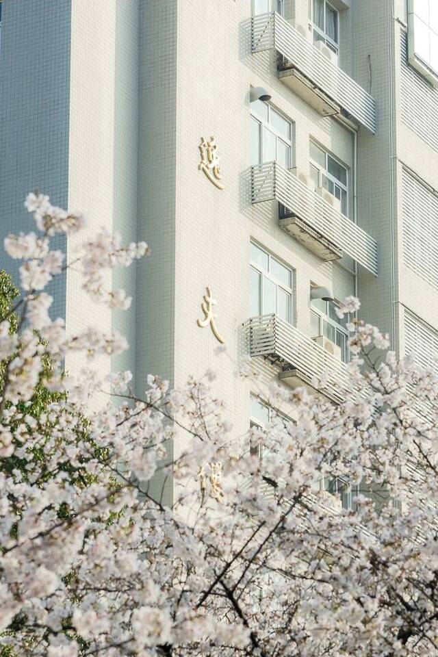 你想看的樱花，安排！