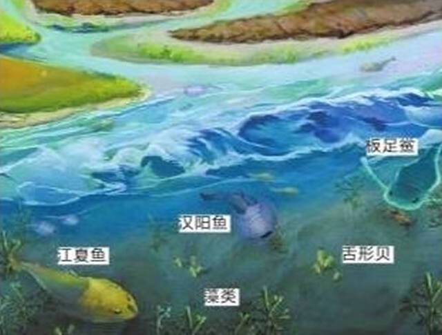 武汉发现“江夏鱼”化石证明4亿年前这里曾是河口三角洲的滨海地貌