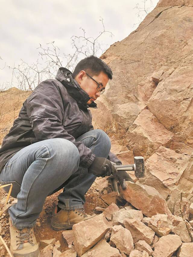 武汉发现“江夏鱼”化石证明4亿年前这里曾是河口三角洲的滨海地貌