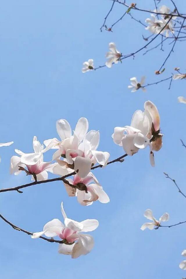 在吗？你的壁纸该换啦！