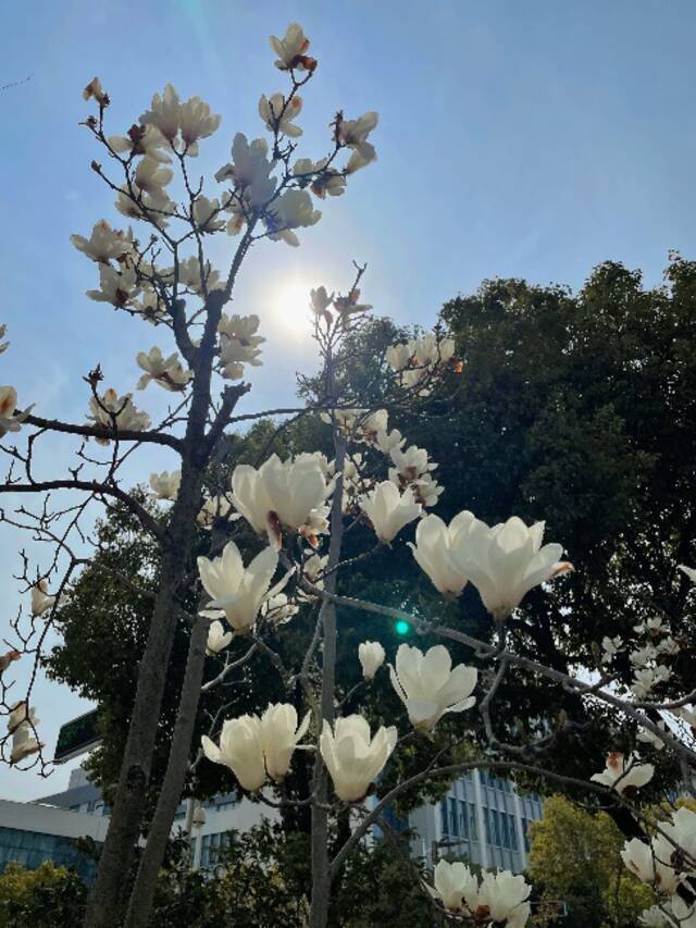 在吗？你的壁纸该换啦！