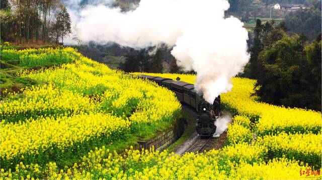 四川春季赏花地图首发 100个赏春踏青点位“曝光”！