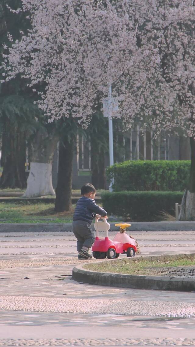 带上五感，发现南理工的春天！