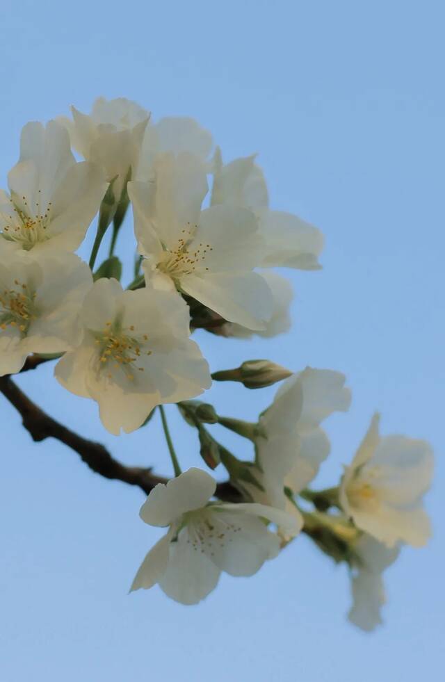 温医大“校花”图鉴