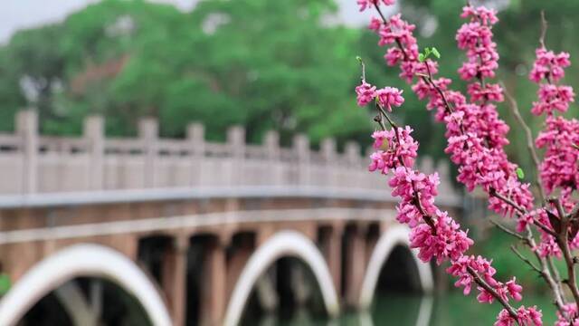 温医大“校花”图鉴