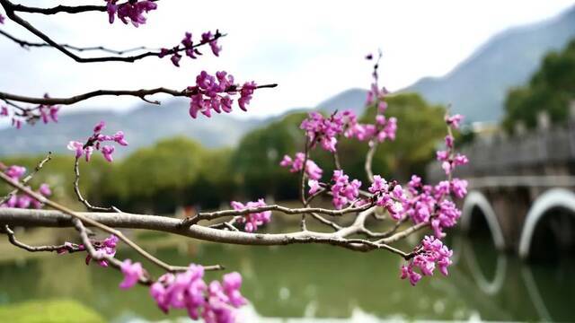 温医大“校花”图鉴