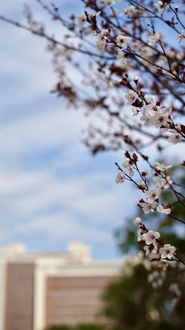 温医大“校花”图鉴