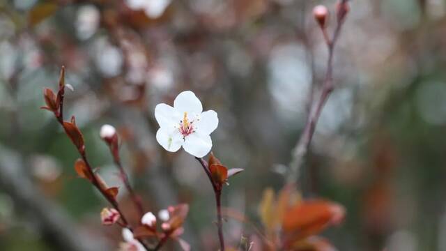 温医大“校花”图鉴