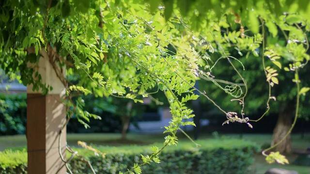 温医大“校花”图鉴