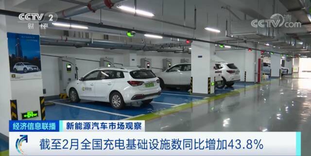 一车难求、提车得等三个月 谁在买新能源车？