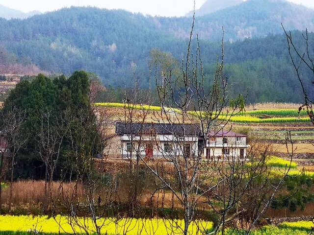 陕西汉中市宁强县代家坝镇南沙河村，庞麦郎家的屋子坐落于山坡上。摄影/本刊记者仇广宇