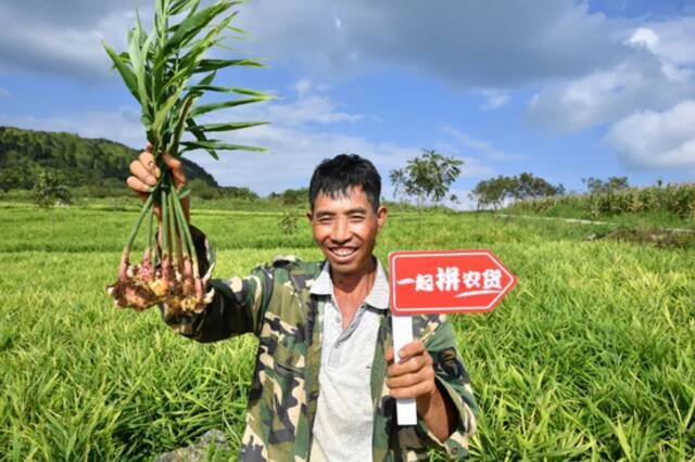 拼多多进入陈磊时代