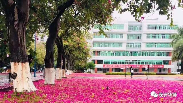 真好看！华师最美校花由你来选