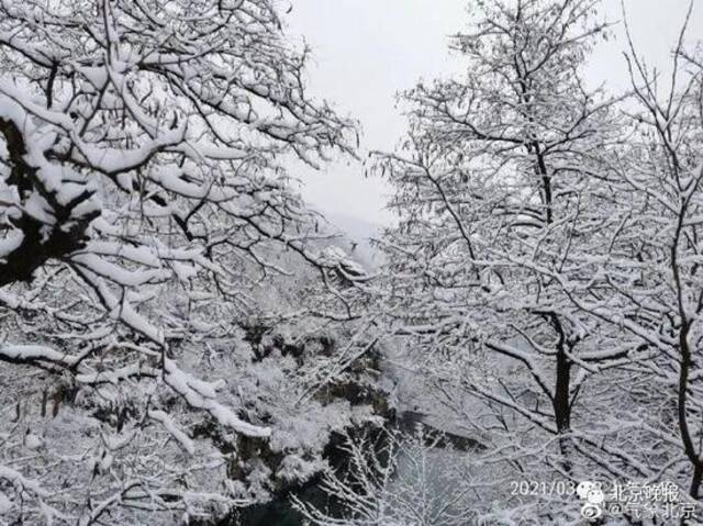 来源：@气象北京，门头沟清水镇洪水口村雪景，于广云摄