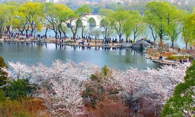 北京市属公园最全赏花攻略来了 附最佳观赏点