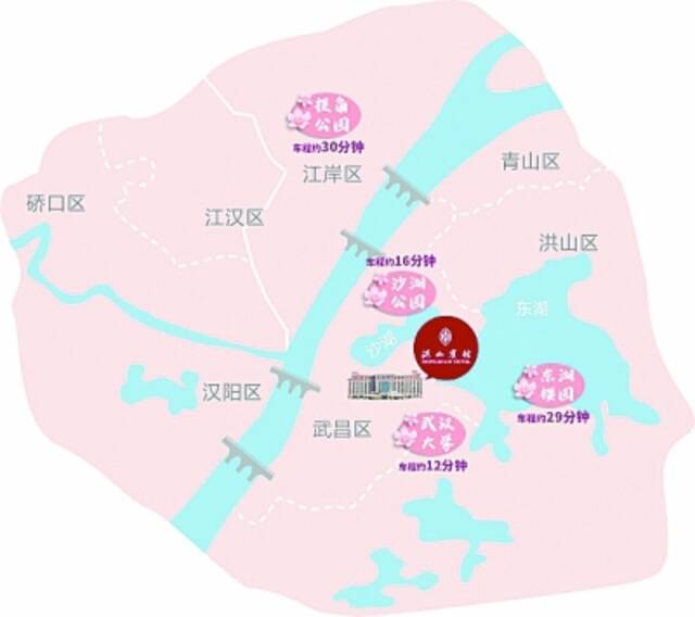 武汉星级酒店版“赏樱地图”火了