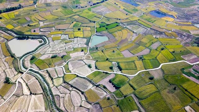 安徽省滁州市凤阳小岗村的田野景象（2018年9月27日摄，无人机照片）。新华社记者张端摄