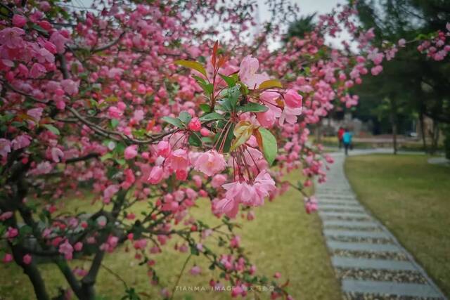 南航24节气·春分