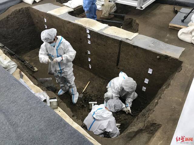 ↑三星堆遗址考古现场，工作人员正在提取样本。
