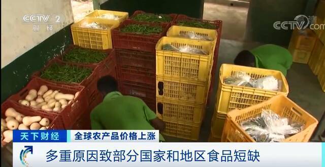 高粱大涨82.1%、玉米大涨45.5%！全球食品价格上涨，担忧加剧…