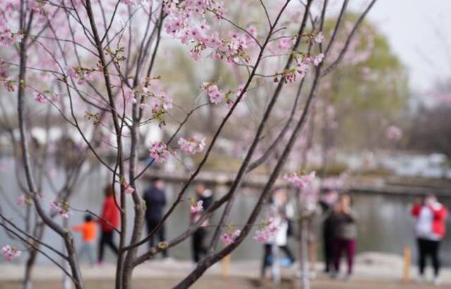 下周北京大部分时间晴到多云，最高气温将冲上20℃