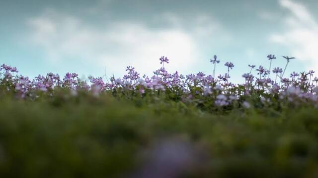 （谢雨泉摄）